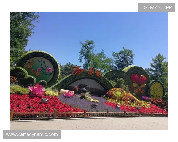 凯发直播线上手机版下载安装过程中遇到的常见错误及解决办法分析